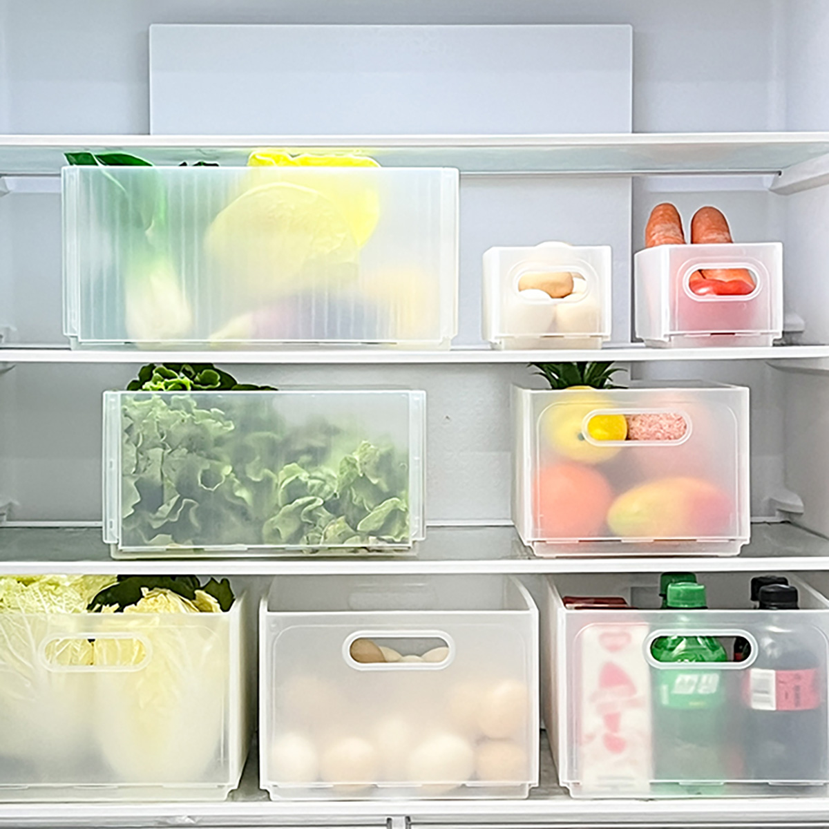WORTHBUY Plastic Folding Fridg - Xxl Food Storage Container incelemesi ve fiyatı