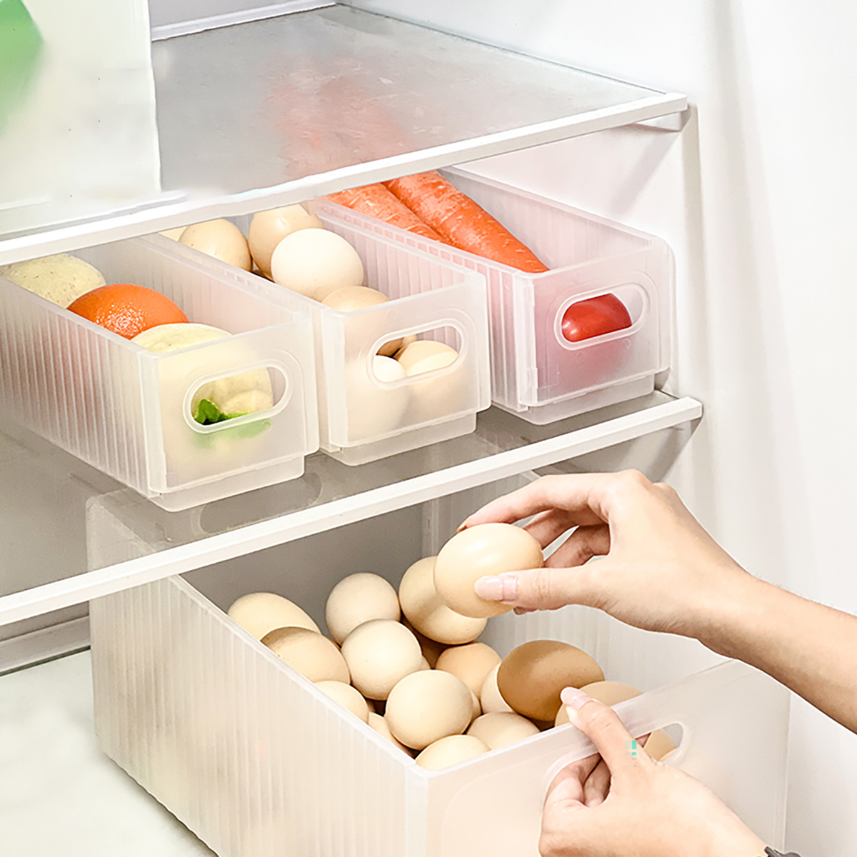 WORTHBUY Plastic Folding Fridg - Xxl Food Storage Container incelemesi ve fiyatı