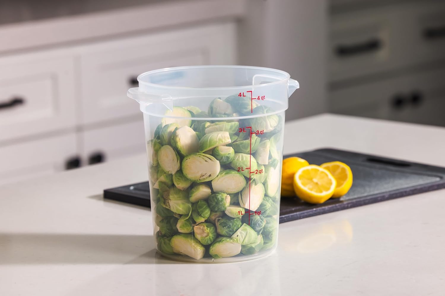 4 Quart Food Storage Container - Food Storage 4 Quart incelemesi ve fiyatı