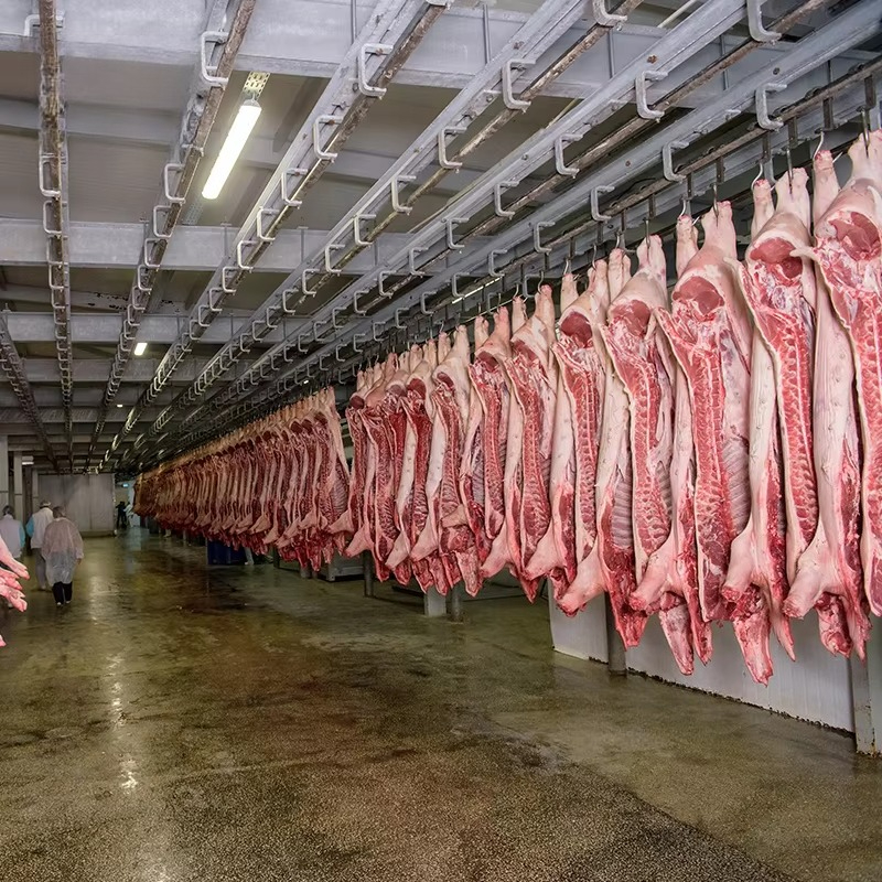 Cold Storage Room Slaughter Ho - Food Storage Refrigerator incelemesi ve fiyatı