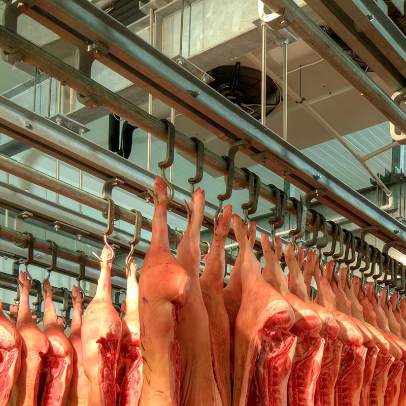 Cold Storage Room Slaughter Ho - Food Storage Refrigerator incelemesi ve fiyatı