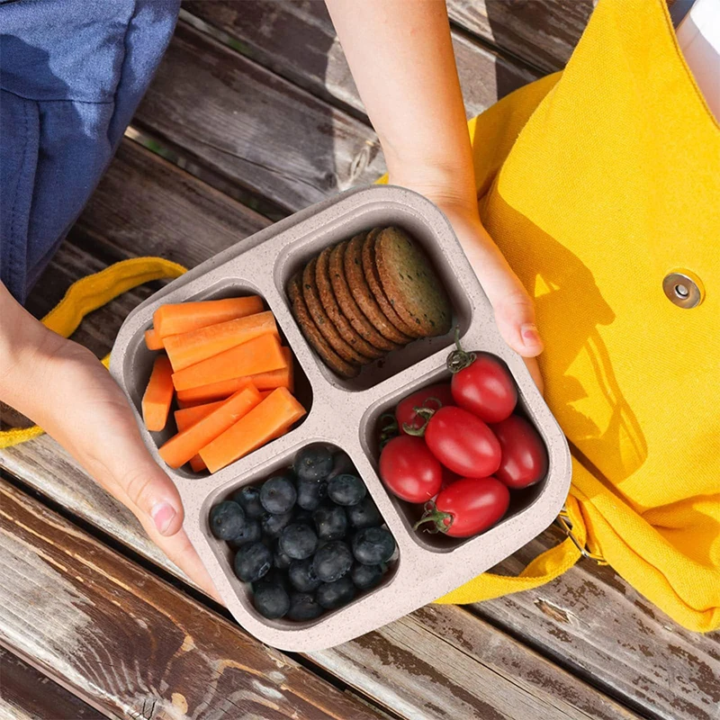 4 Grids Food Storage Box Porta - Food Storage Refrigerator incelemesi ve fiyatı