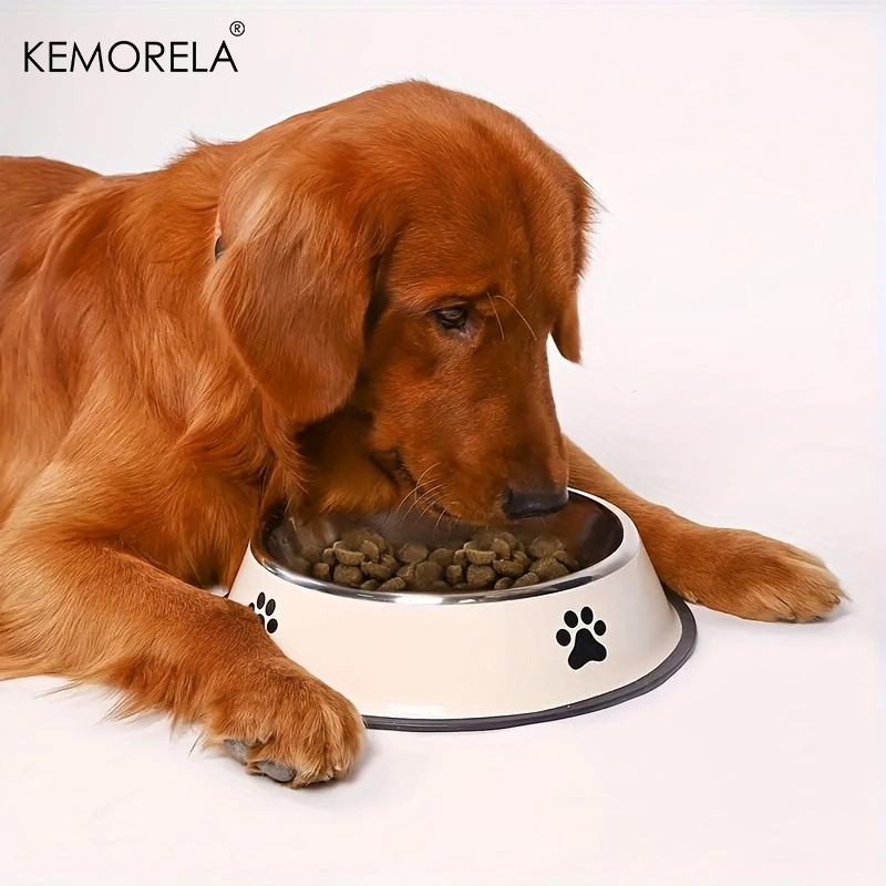 Stainless Steel Pet Dog Bowl F - Xxl Food Storage Container incelemesi ve fiyatı