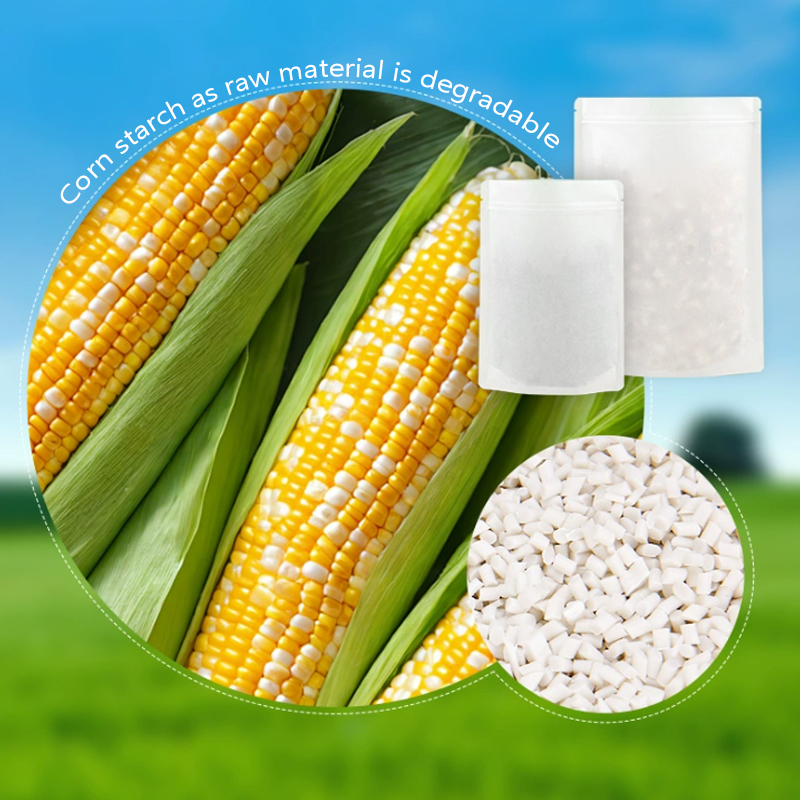 Customized Degradable Kraft Pa - Food Storage Plant incelemesi ve fiyatı