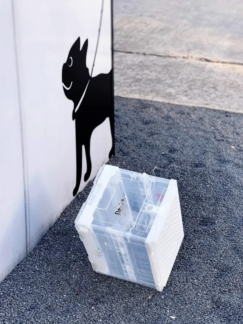 Transparent folding box, blind - Food Storage Hot Box incelemesi ve fiyatı