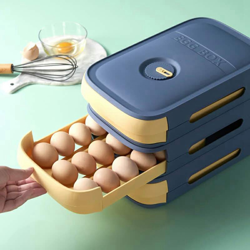 Egg Storage Container Refriger - Food Storage Refrigerator incelemesi ve fiyatı