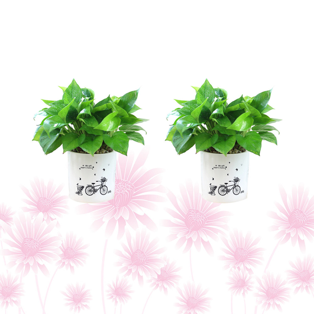 2PCS Self Watering Flowerpot D - Food Storage Plant incelemesi ve fiyatı