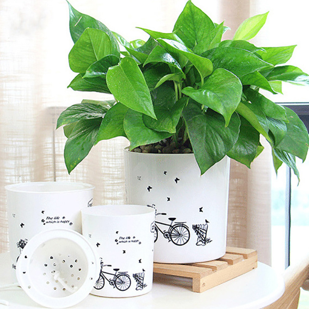 2PCS Self Watering Flowerpot D - Food Storage Plant incelemesi ve fiyatı
